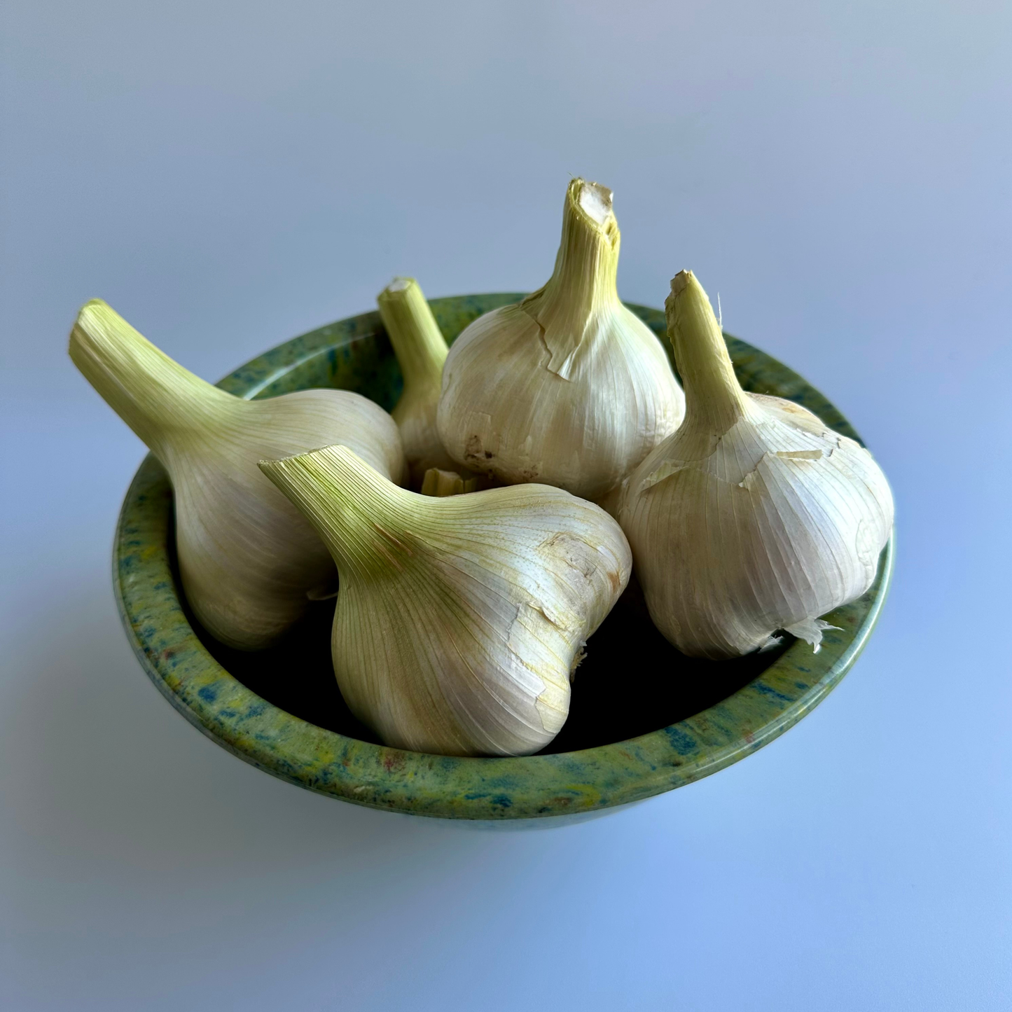 Available Soon! Elephant Garlic | Limited Specialty Variety