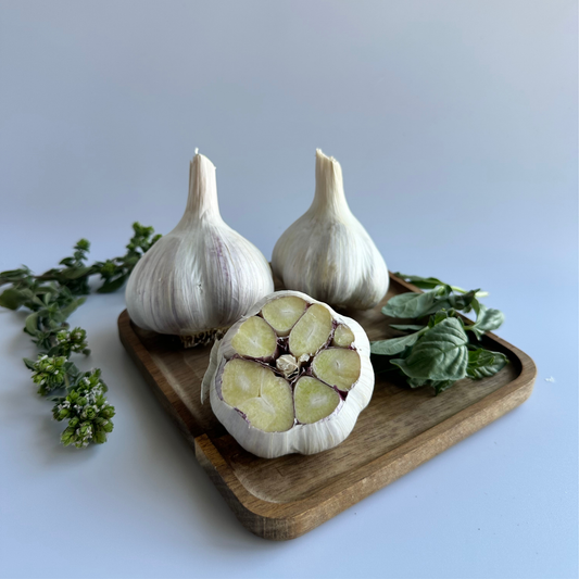 Available Soon! German White Garlic | Limited Heirloom Variety