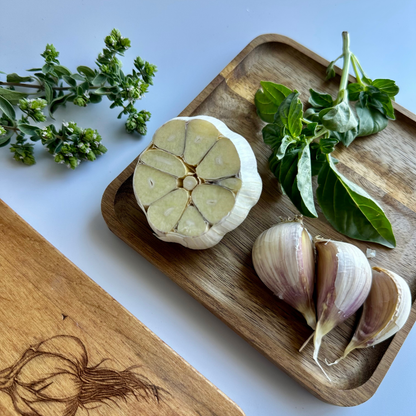Available Soon! Music Garlic | Signature Heirloom Variety