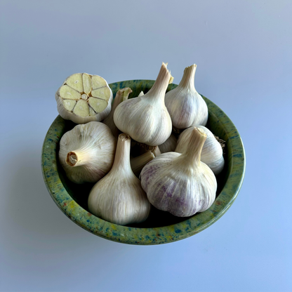 Available Soon! Music Garlic | Signature Heirloom Variety