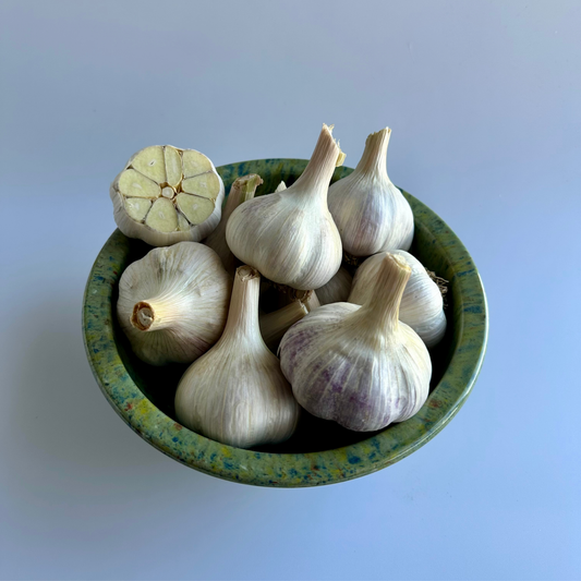 Available Soon! Music Garlic | Signature Heirloom Variety