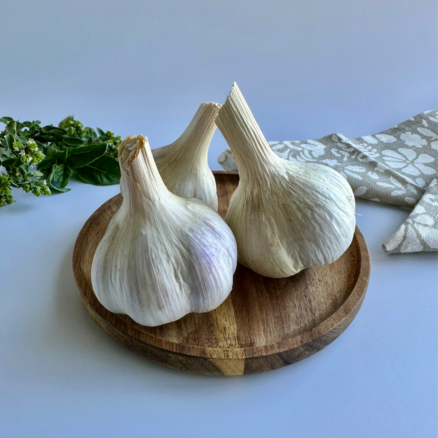 Available Soon! Music Garlic | Signature Heirloom Variety
