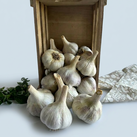 Several whole garlic bulbs spilled from a wooden crate onto a white surface, with a small sprig of green herbs on the left and a folded cream fabric on the right against a white background.